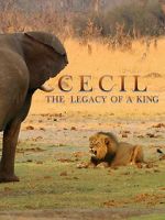 Watch Cecil: The Legacy of a King M4uhd