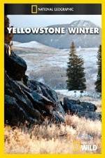 Watch National Geographic Yellowstone Winter M4uhd