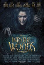 Watch Into the Woods M4uhd