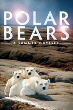 Watch Polar Bears: A Summer Odyssey M4uhd