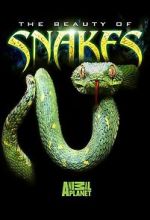 Watch Beauty of Snakes M4uhd