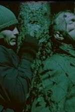 Watch Befrielsesbilleder M4uhd