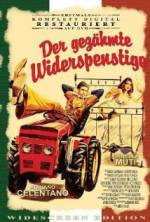 Watch The Taming of the Scoundrel M4uhd