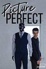 Watch Picture Perfect M4uhd