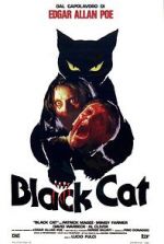 Watch The Black Cat M4uhd