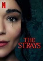 Watch The Strays M4uhd