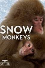 Watch Nature: Snow Monkeys M4uhd