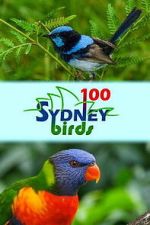 Watch 100 Sydney Birds M4uhd