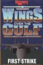 Watch Wings Over the Gulf Vol  1  First Strike M4uhd