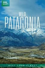 Watch Wild Patagonia M4uhd