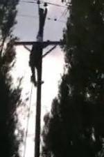 Watch After the Wind M4uhd