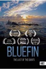 Watch Bluefin M4uhd