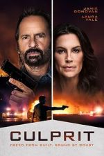 Watch Culprit M4uhd