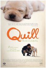 Watch Quill: The Life of a Guide Dog M4uhd
