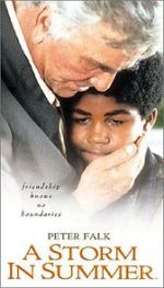 Watch A Storm in Summer M4uhd