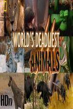 Watch National Geographic - Worlds Deadliest Animal Battles M4uhd