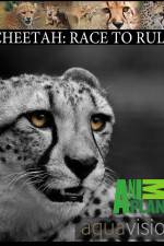 Watch Cheetah: Race to Rule M4uhd