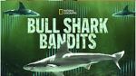 Watch Bull Shark Bandits M4uhd