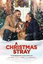 Watch A Christmas Stray M4uhd