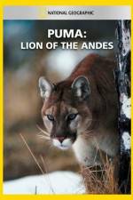 Watch National Geographic  Puma: Lion of the Andes M4uhd