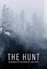 Watch The Hunt: In Search of Australia\'s Big Cats M4uhd