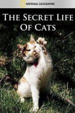 Watch The Secret Life of Cats M4uhd