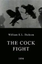 Watch The Cock Fight M4uhd