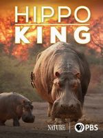 Watch Hippo King M4uhd