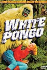 Watch White Pongo M4uhd