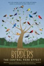 Watch Birders The Central Park Effect M4uhd