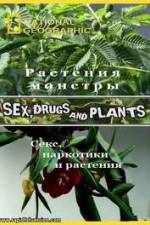 Watch National Geographic Wild: Sex Drugs and Plants M4uhd