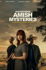Watch Sugarcreek Amish Mysteries: Blessings in Disguise M4uhd