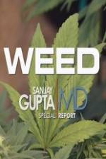 Watch CNN Weed Sanjay Gupta Report M4uhd