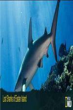 Watch National Geographic Wild - Lost Sharks of Easter Island M4uhd