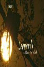 Watch National Geographic Wild - Leopards of Dead Tree Island M4uhd