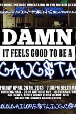 Watch AIW Damn It Feels Good To Be A Gangsta M4uhd