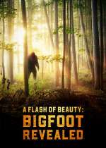 Watch A Flash of Beauty: Bigfoot Revealed M4uhd