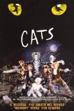 Watch Cats M4uhd