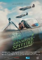 Watch The Shamrock Spitfire M4uhd