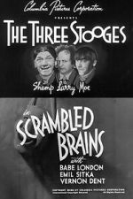 Watch Scrambled Brains M4uhd