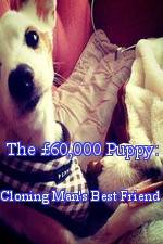 Watch The �60,000 Puppy: Cloning Man's Best Friend M4uhd