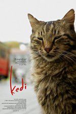 Watch Kedi M4uhd