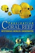 Watch Fascination Coral Reef: Mysterious Worlds Underwater M4uhd