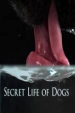 Watch Secret Life of Dog M4uhd
