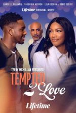 Watch Terry McMillan Presents: Tempted 2 Love M4uhd