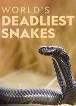 Watch World's Deadliest Snakes M4uhd