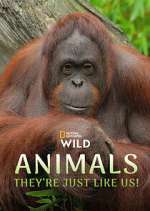 Watch Animals, They\'re Just Like Us! M4uhd