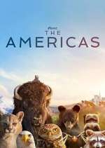 Watch The Americas M4uhd