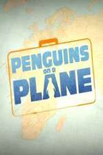 Watch Penguins on a Plane M4uhd