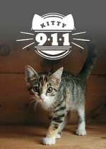 Watch Kitty 911 M4uhd